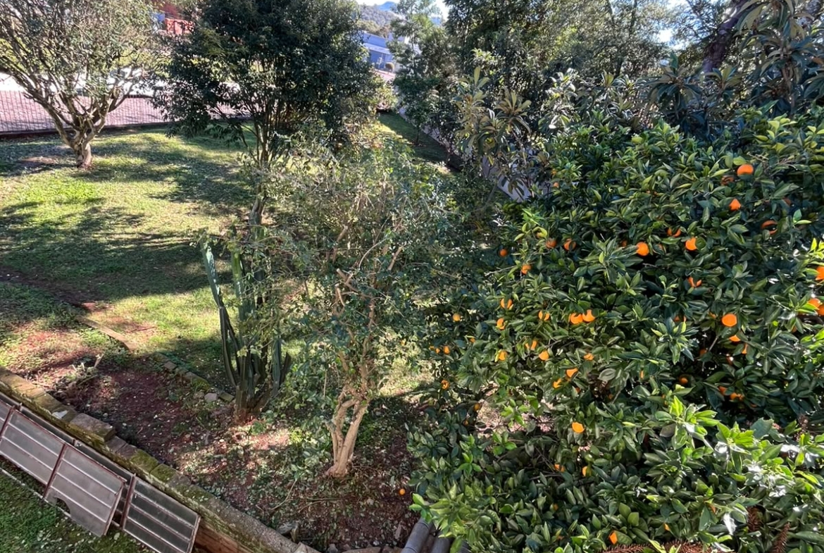 17 Prédio Comercial e Apartamento – Bairro Primavera, Dois Irmãos