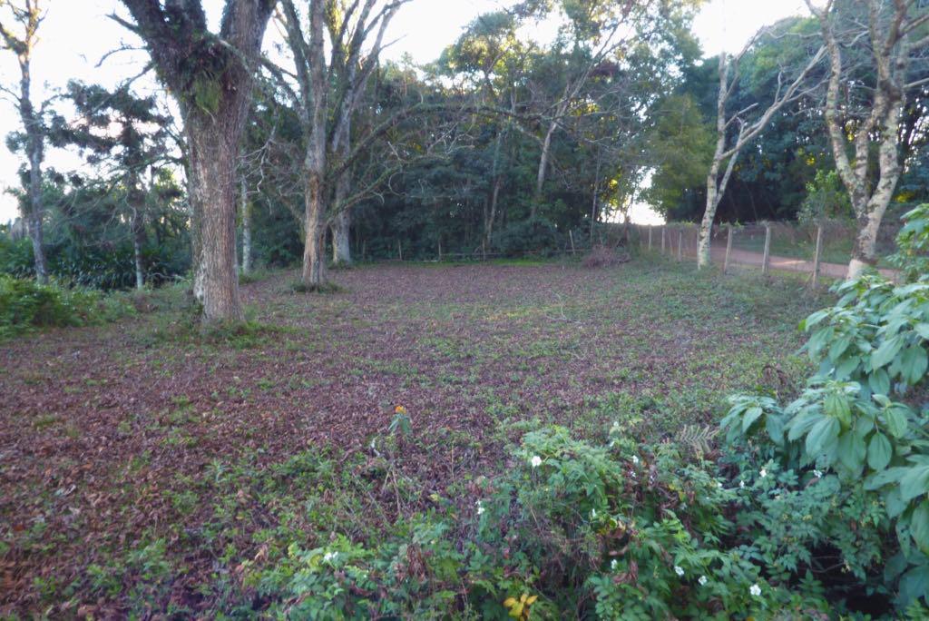 139bacc1-7c88-45eb-a0a2-85f928984450 Área à venda com 7,2 hectares próxima ao Centro de Dois Irmãos/RS