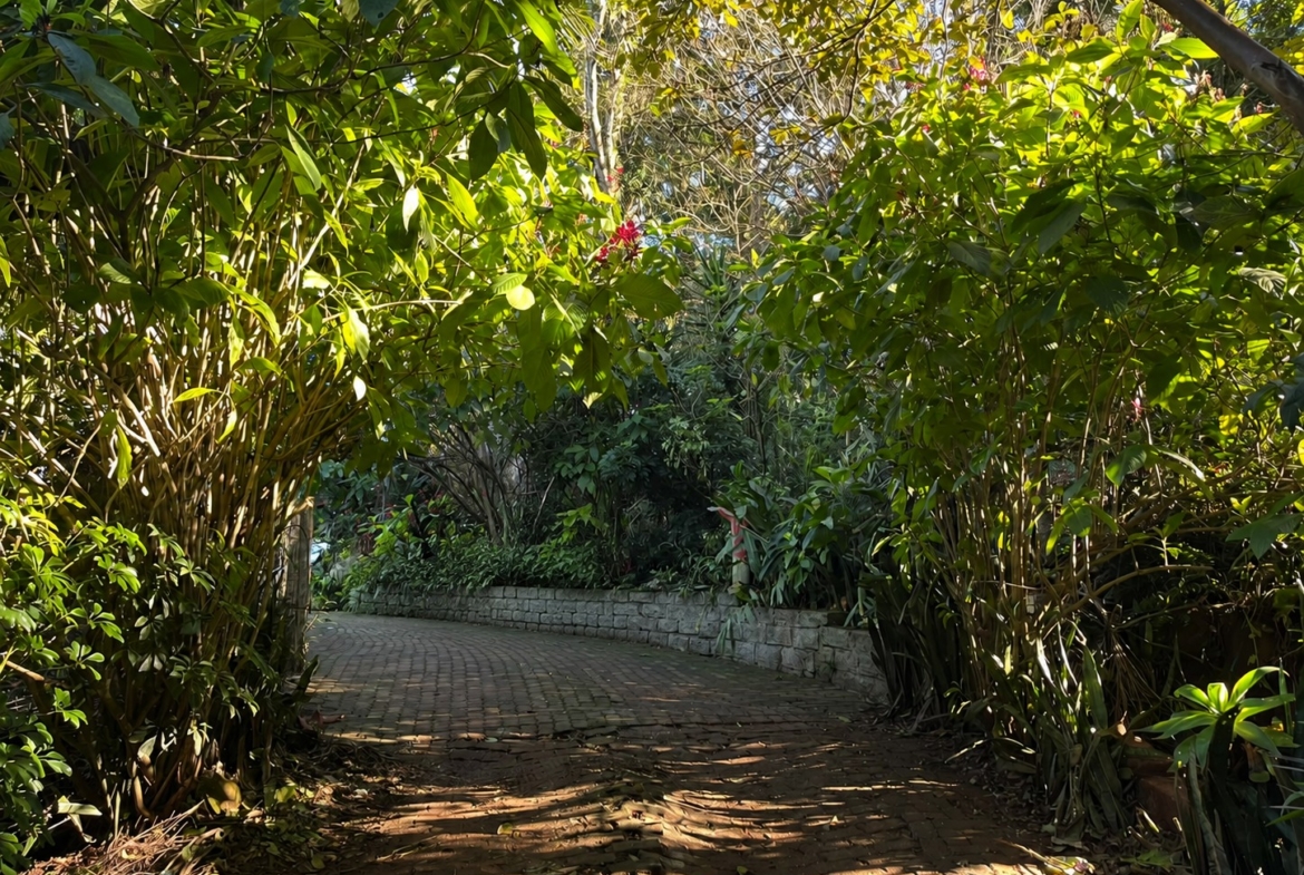 95e6a1b0-d67d-4747-afd8-f3dd3cfc2c3a Chácara completa à venda em Dois Irmãos — natureza, conforto e uma vista privilegiada!