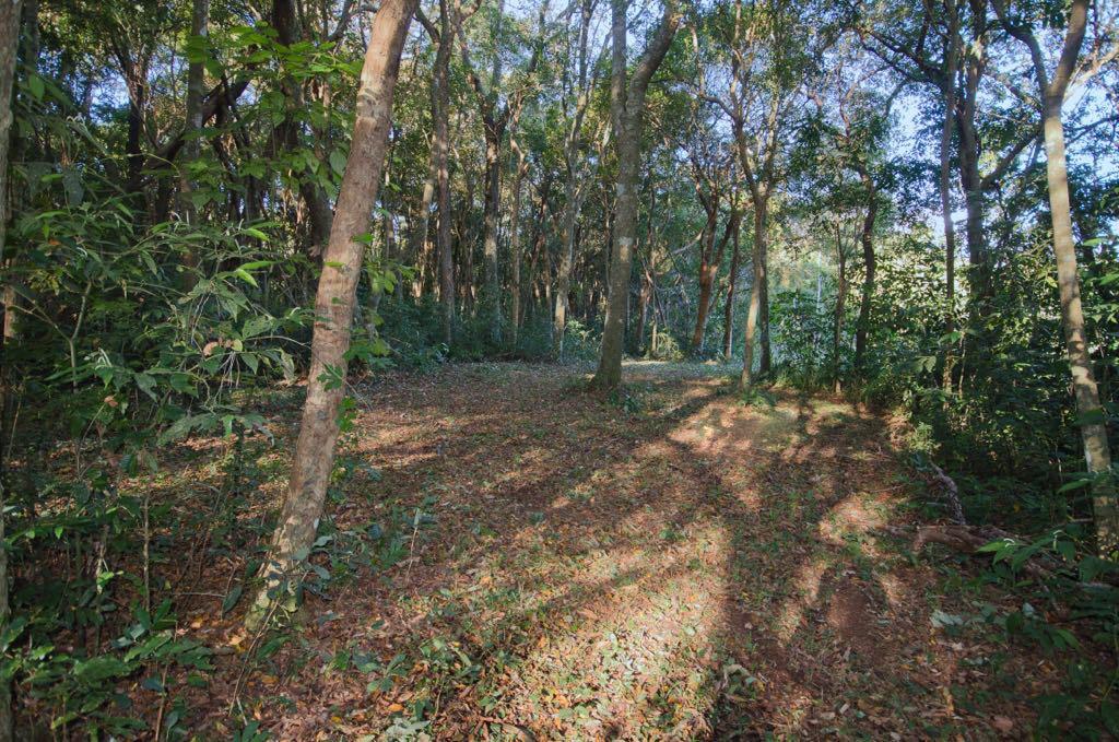 983c7c31-e64c-444a-abd1-c4ef26dd9724 Área à venda com 7,2 hectares próxima ao Centro de Dois Irmãos/RS
