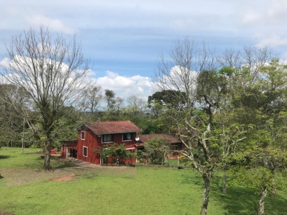 Área à venda com 7,2 hectares próxima ao Centro de Dois Irmãos/RS