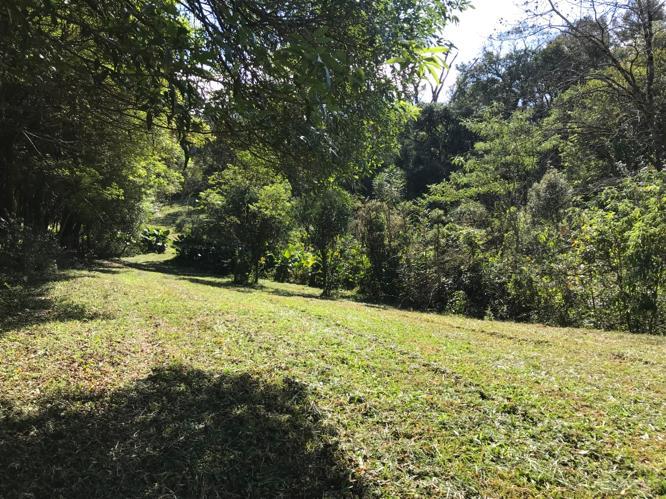 d3eb5c0e-123b-46fc-8c6d-67f9f1adccfd Área à venda com 7,2 hectares próxima ao Centro de Dois Irmãos/RS
