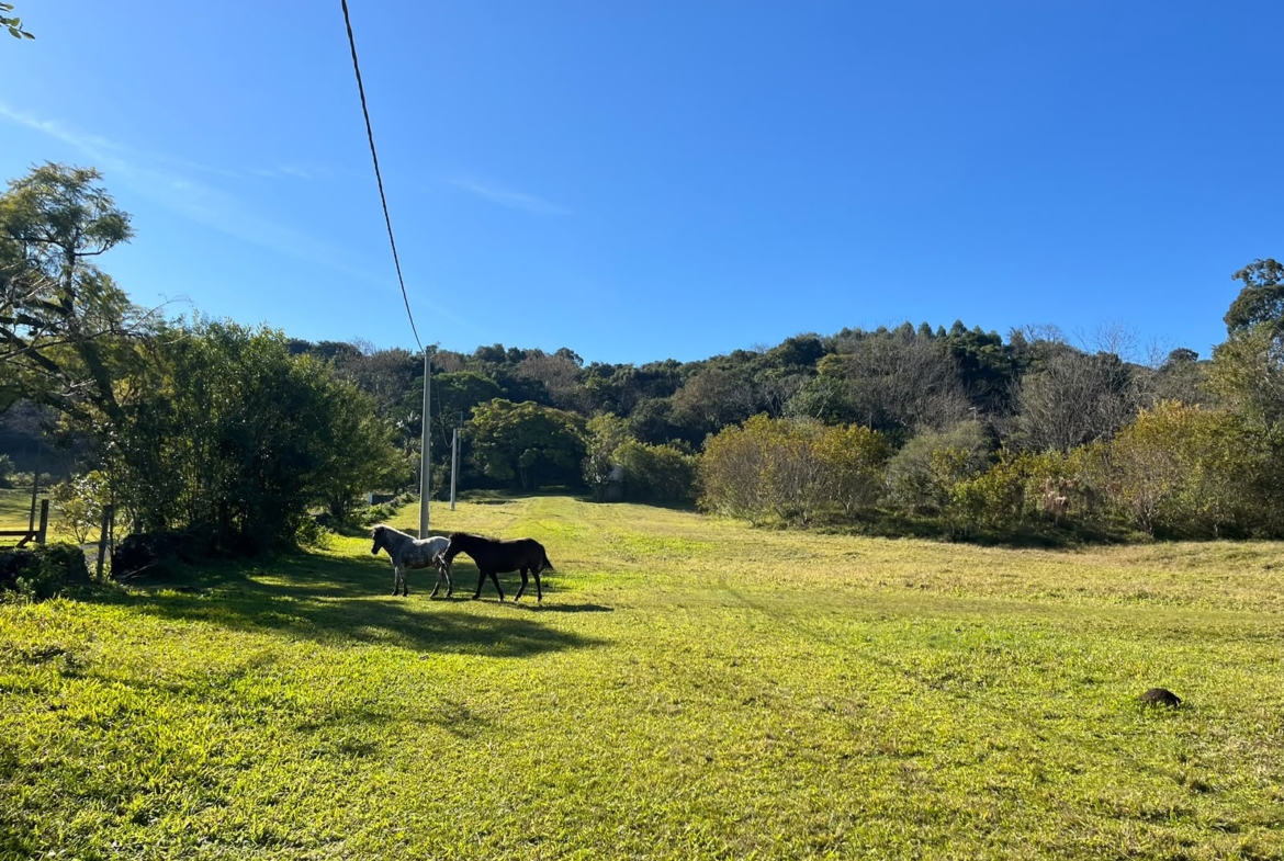 790eddf7-ce1b-4e41-9b35-7099dbf740c2 Sítio / Área à venda no Bairro Travessão – Dois Irmãos/RS