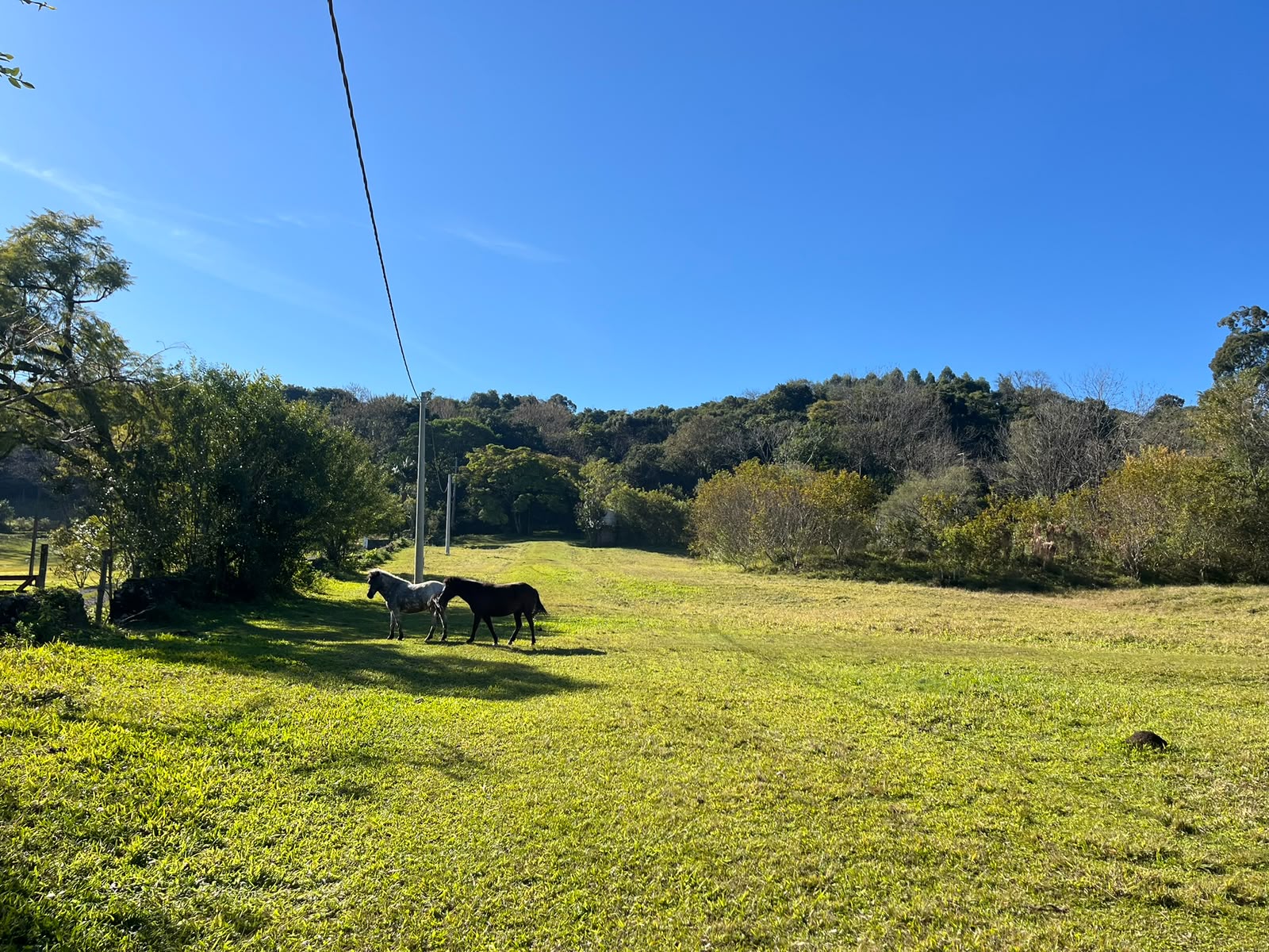 790eddf7-ce1b-4e41-9b35-7099dbf740c2 Sítio / Área à venda no Bairro Travessão – Dois Irmãos/RS